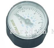 Pressure Gauge